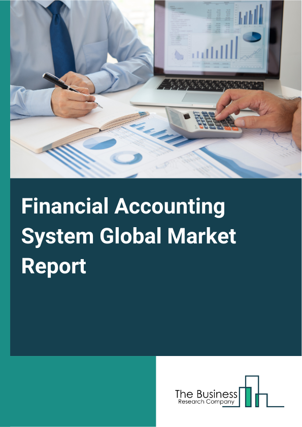 Global Financial Accounting System Market Report 2025