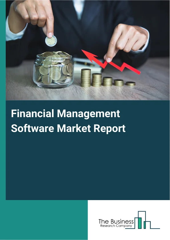 Financial Management Software Market Report Infographic Image