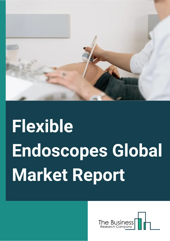 Flexible Endoscopes Global Market Report 2025 – By Product (Fiberscope, Video Endoscope), By Application (GI Endoscopy, Pulmonary Endoscopy, ENT Endoscopy, Obstetrics or Gynecology, Urology, Other Applications), By End User (Hospitals, Ambulatory Surgery Centers, Other End Users) – Market Size, Trends, And Global Forecast 2025-2034