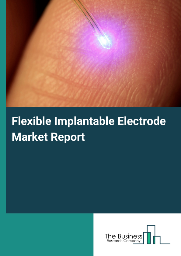 Flexible Implantable Electrode Market Report Infographic Image