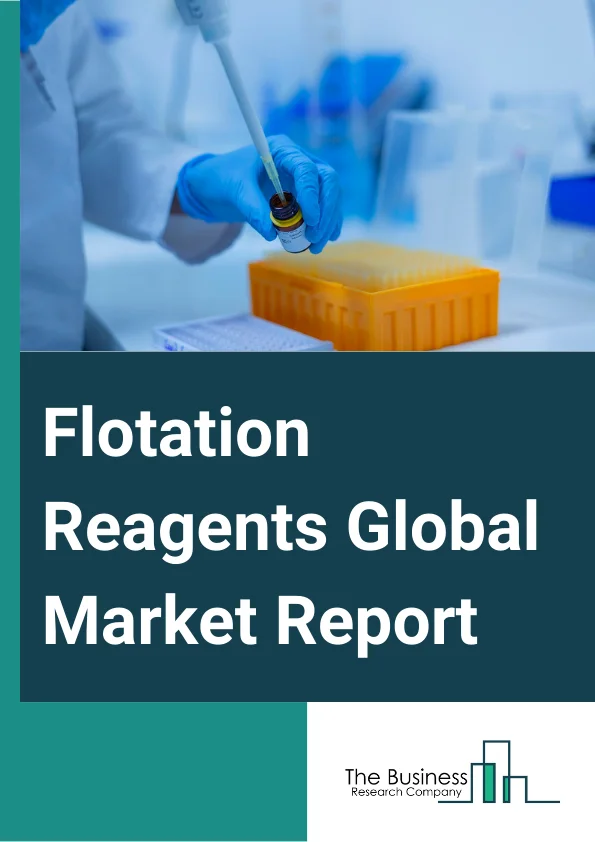 Flotation Reagents Global Market Report 2025 – By Type (Flocculants, Frothers, Collectors, Dispersants, Regulators, Solvent Extractors, Modifiers, Other Types), By Ore Type (Powder Gold, Iron, Copper, Phosphate, Other Ores), By Application (Mining, Mineral Processing, Water and Wastewater Treatment, Leaching and Abrasive Blasting, Explosives and Drilling, Other Applications) – Market Size, Trends, And Global Forecast 2025-2034