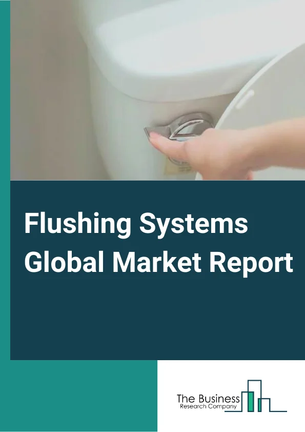 Flushing Systems Global Market Report 2023 