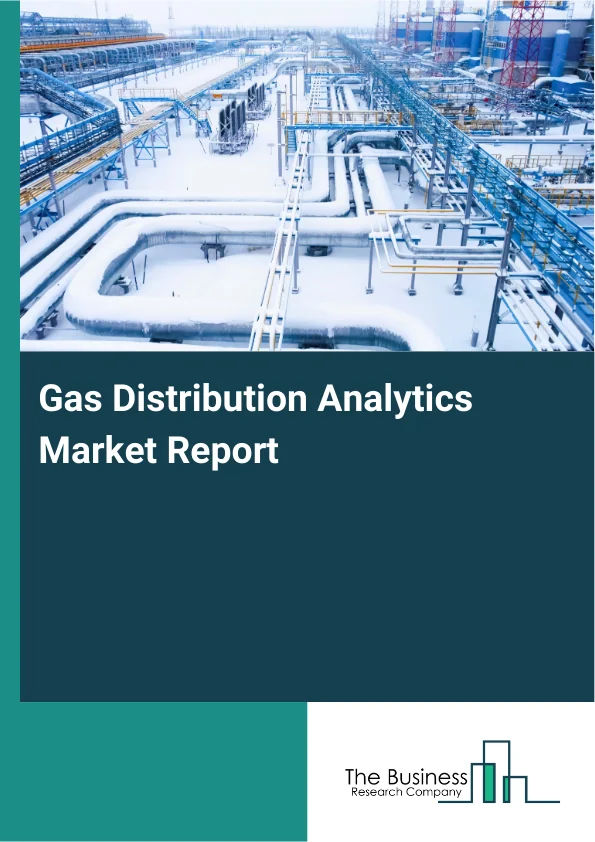 Gas Distribution Analytics Market Report Infographic Image