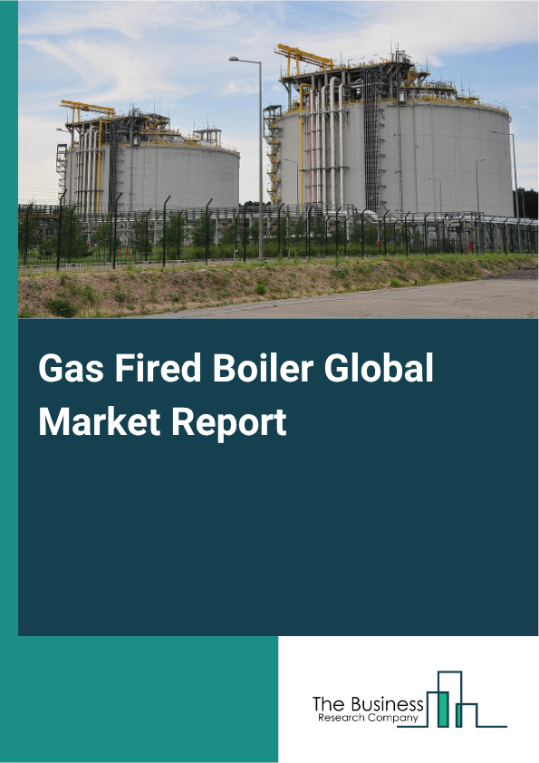 Gas Fired Boiler Market Size and growth rate 2025 to 2029: Graph