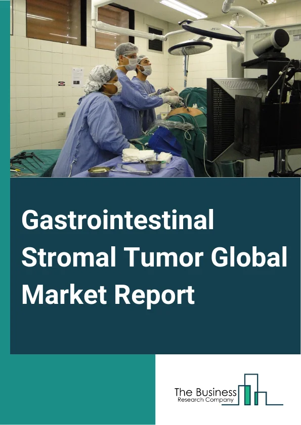 Gastrointestinal Stromal Tumor Global Market Report 2024 – By Treatment Type (Chemotherapy, Targeted Therapy, Other Treatment Types), By Indication (Stomach, Small Intestine, Others Indications), By End-User (Hospitals, Clinics, Specialized Cancer Treatment Centers, Other End-Users) – Market Size, Trends, And Global Forecast 2024-2033