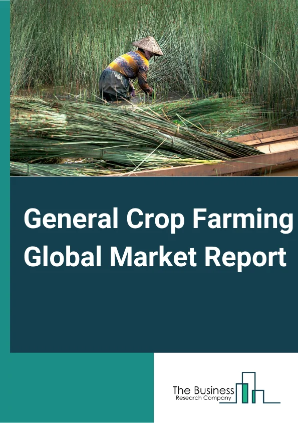 General Crop Farming Global Market Report 2024 – By Type (Tobacco Farming, Sugarbeet Farming, Sugarcane Farming, Cotton Farming, Other Miscellaneous Crop Farming), By Application (Food And Beverages, Fodder), By Farming Process (Organic General Crop Farming , Traditional Farming) – Market Size, Trends, And Global Forecast 2024-2033