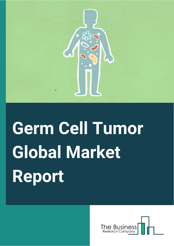 Germ Cell Tumor Global Market Report 2025 – By Disease (Testicular, Ovarian, Other Diseases), By Treatment Type (Chemotherapy, Immunotherapy), By Route Of Administration (Oral, Intravenous, Intraperitoneal), By End User (Hospitals And Clinics, Research Institutes, Other End Users) – Market Size, Trends, And Global Forecast 2025-2034