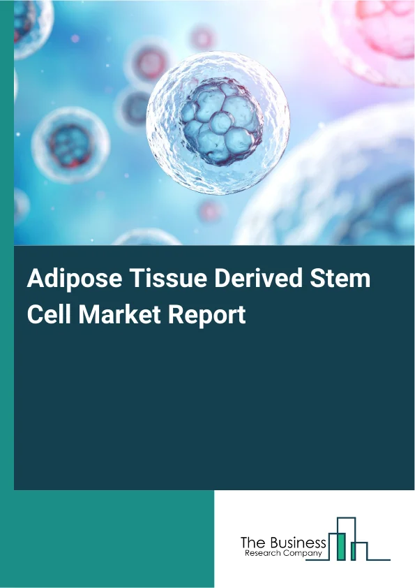 Adipose Tissue Derived Stem Cell Market Global Report 2026 Market Report Infographic Image