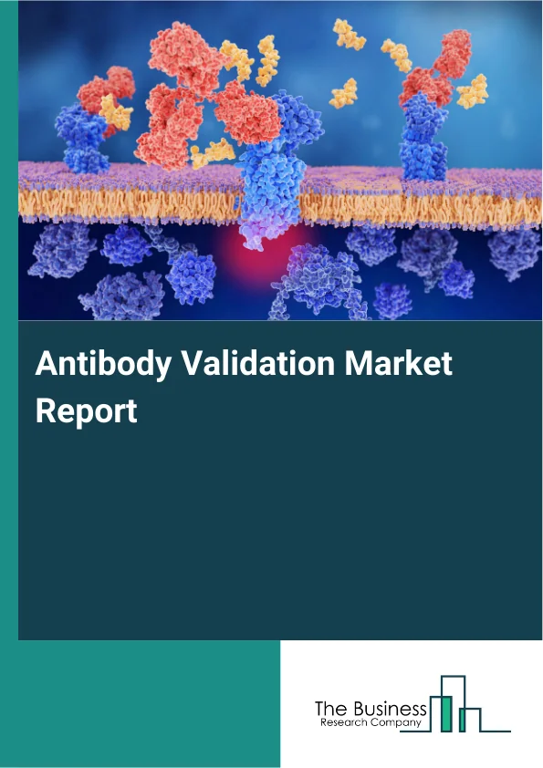Antibody Validation Market Global Report 2026 Market Report Infographic Image