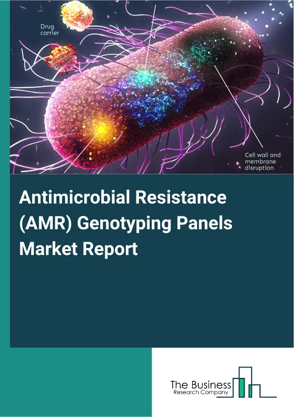 Antimicrobial Resistance (AMR) Genotyping Panels Market Global Report 2026 Market Report Infographic Image