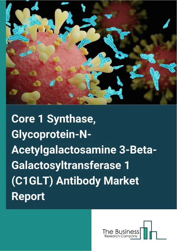 Core 1 Synthase, Glycoprotein-N-Acetylgalactosamine 3-Beta-Galactosyltransferase 1 (C1GLT) Antibody Market Global Report 2026 Market Report Infographic Image