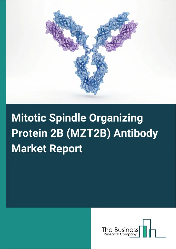 Mitotic Spindle Organizing Protein 2B (MZT2B) Antibody Market Global Report 2026 Market Report Infographic Image