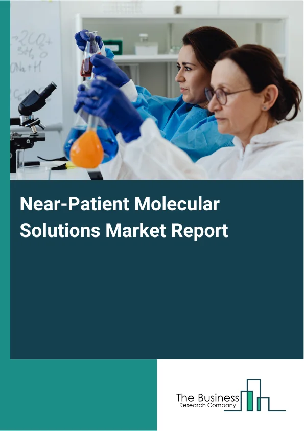 Near-Patient Molecular Solutions Market Global Report 2026 Market Report Infographic Image