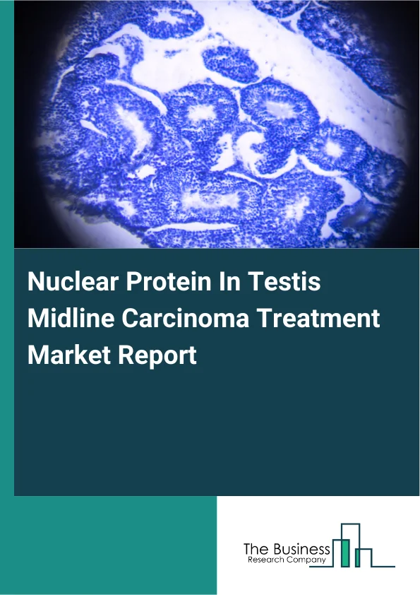 Nuclear Protein In Testis Midline Carcinoma Treatment Market Global Report 2026 Market Report Infographic Image