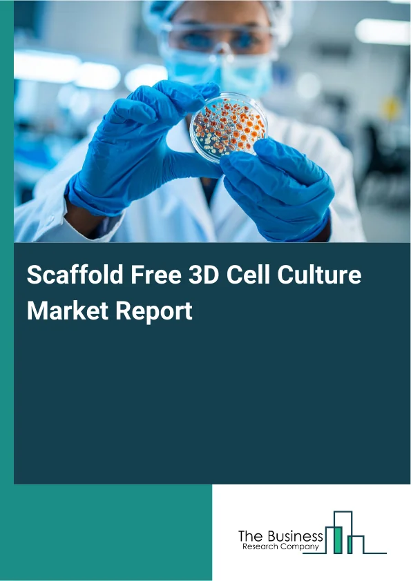 Scaffold Free 3D Cell Culture Market Global Report 2026 Market Report Infographic Image