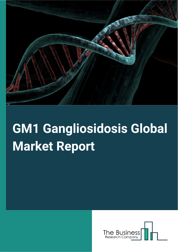 Global GM1 Gangliosidosis Market Report 2025