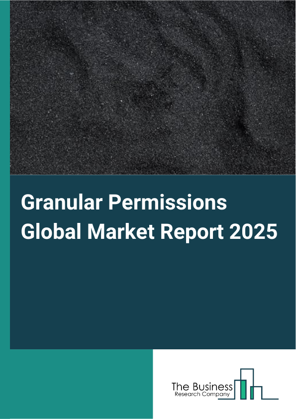 Global Granular Permissions Market Report 2025