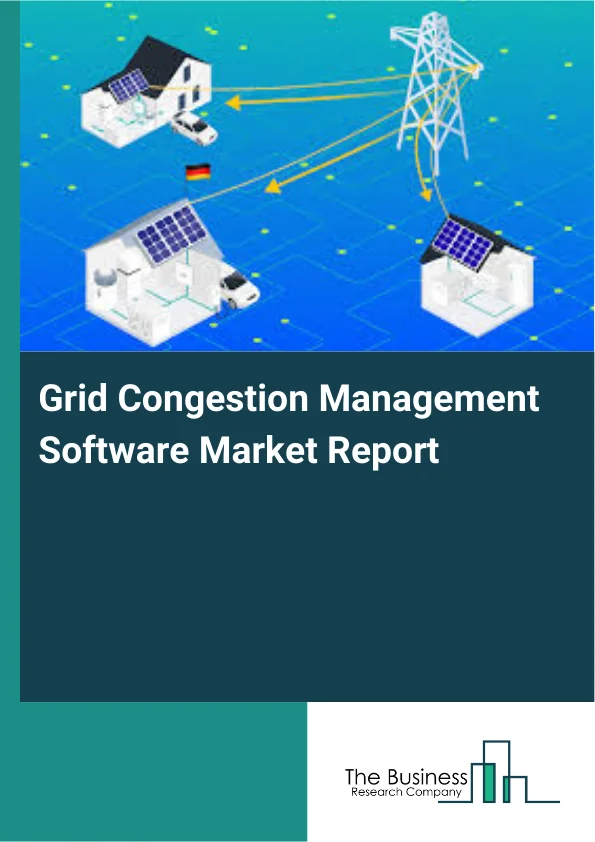 Grid Congestion Management Software Market Report Infographic Image