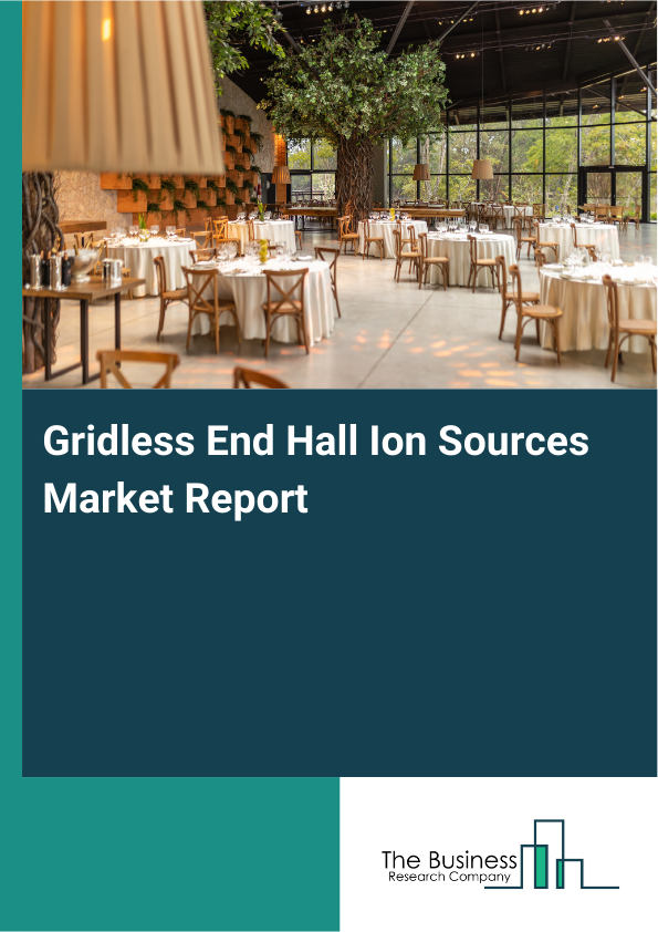 Gridless End Hall Ion Sources Market Report Infographic Image