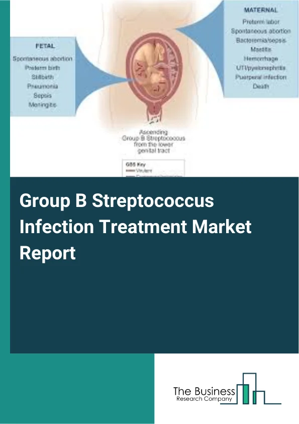 Group B Streptococcus Infection Treatment Market Report Infographic Image