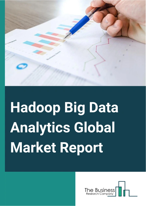 Global Hadoop Big Data Analytics Market Report 2025
