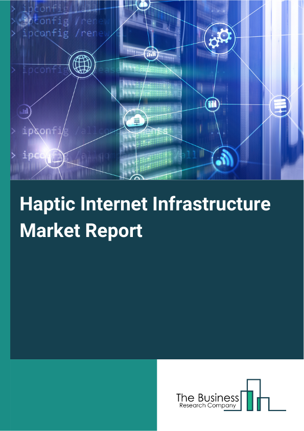 Haptic Internet Infrastructure Market Report Infographic Image