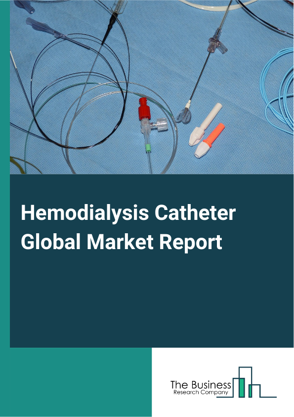 Global Hemodialysis Catheter Market Report 2025