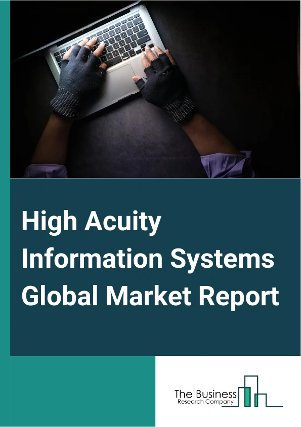 Global High Acuity Information Systems Market Report 2025