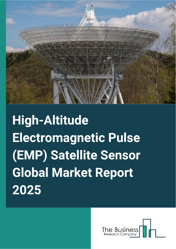 Global High-Altitude Electromagnetic Pulse (EMP) Satellite Sensor Market Report 2025
