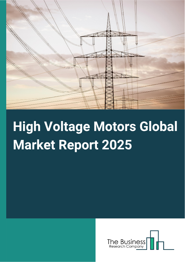 Global High Voltage Motors Market Report 2025