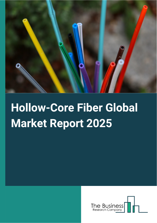 Global Hollow-Core Fiber Market Report 2025
