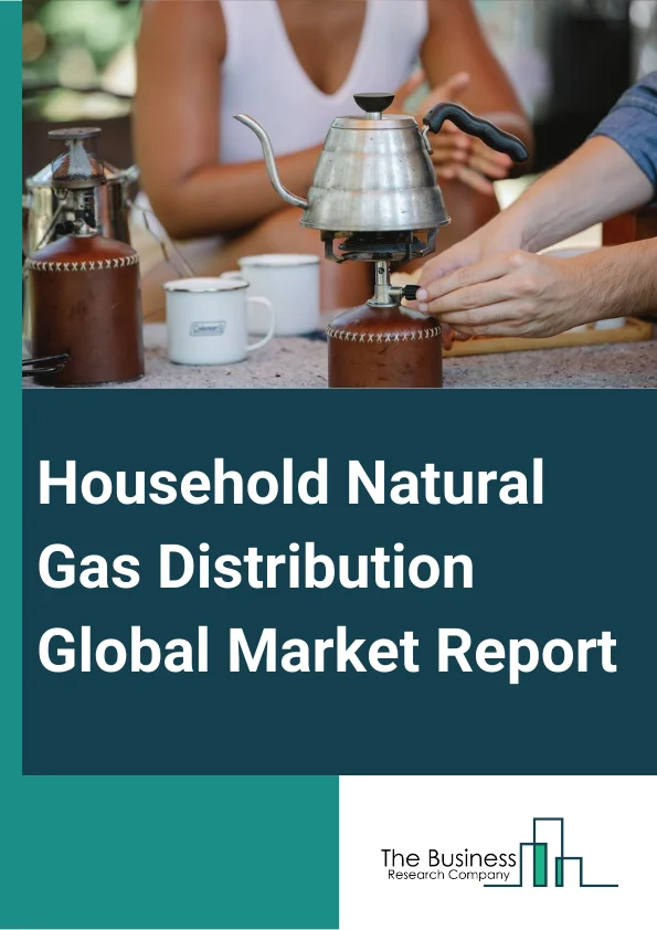 Household Natural Gas Distribution Global Market Report 2023