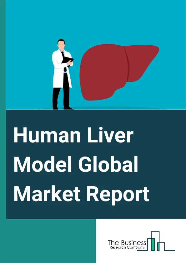 Human Liver Model Global Market Report 2024 – By Product (Liver Organoids, Liver-On-A-Chip, 2D Models, Animal Models, 3D Bioprinting), By Application (Educational, Drug Discovery, Other Applications), By End Users (Research Institutes, Pharmaceutical Companies, Other End Users) – Market Size, Trends, And Global Forecast 2024-2033