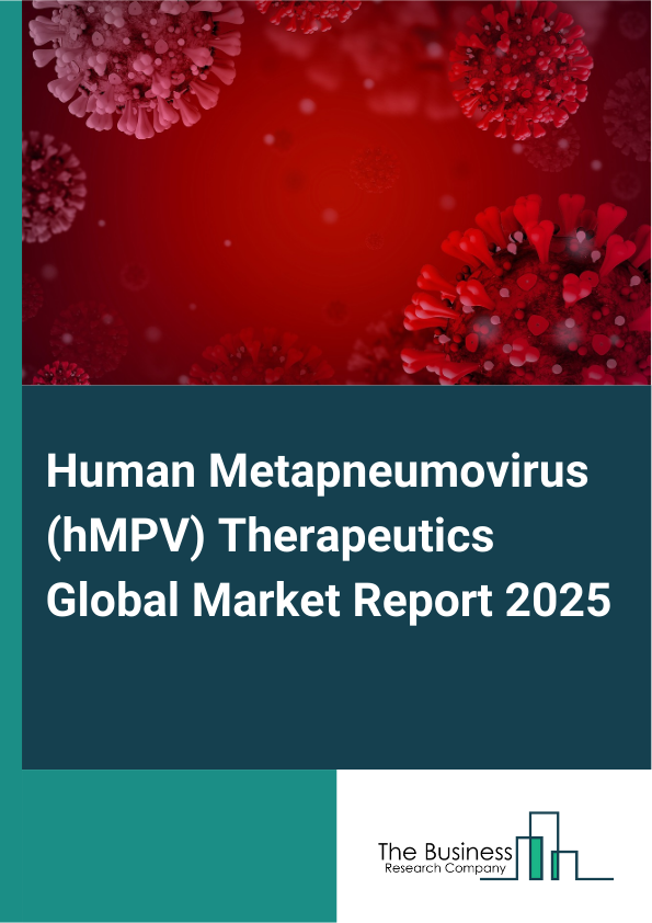 Global Human Metapneumovirus (hMPV) Therapeutics Market Report 2025 