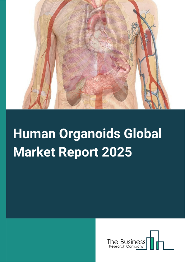 Global Human Organoids Market Report 2025