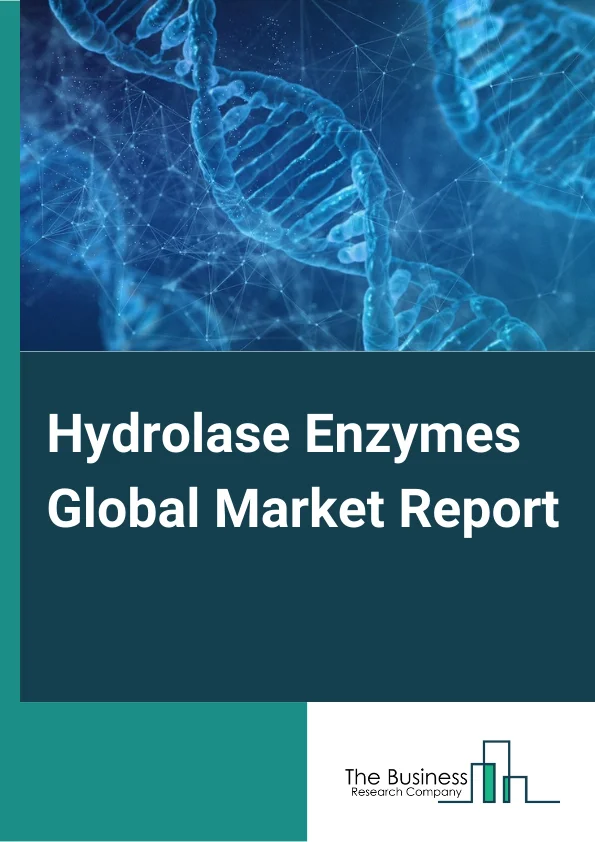 Hydrolase Enzymes Global Market Report 2024 – By Product (Esterase, Glycosylases, Peptidases, Other Products), By Bond Type (Ester Bonds (Esterases), Sugars (DNA Glycosylases And Glycoside Hydrolase), Ether Bonds (Thioether And Trialkylsulfonium), Peptide Bonds (Peptidases), Carbon-Nitrogen Bonds (Other Than Peptide Bonds), Acid Anhydrides, Carbon-Carbon Bonds, Halide Bonds, Phosphorus-Nitrogen Bonds, Other Bond Types), By Application (Pharmaceutical, Food And Beverages, Laundry Detergents, Cosmetics, Textile, Pulp And Paper, Biofuel, Other Applications) – Market Size, Trends, And Global Forecast 2024-2033