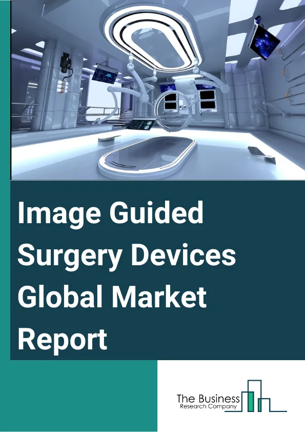 Global Image Guided Surgery Devices Market Report 2024