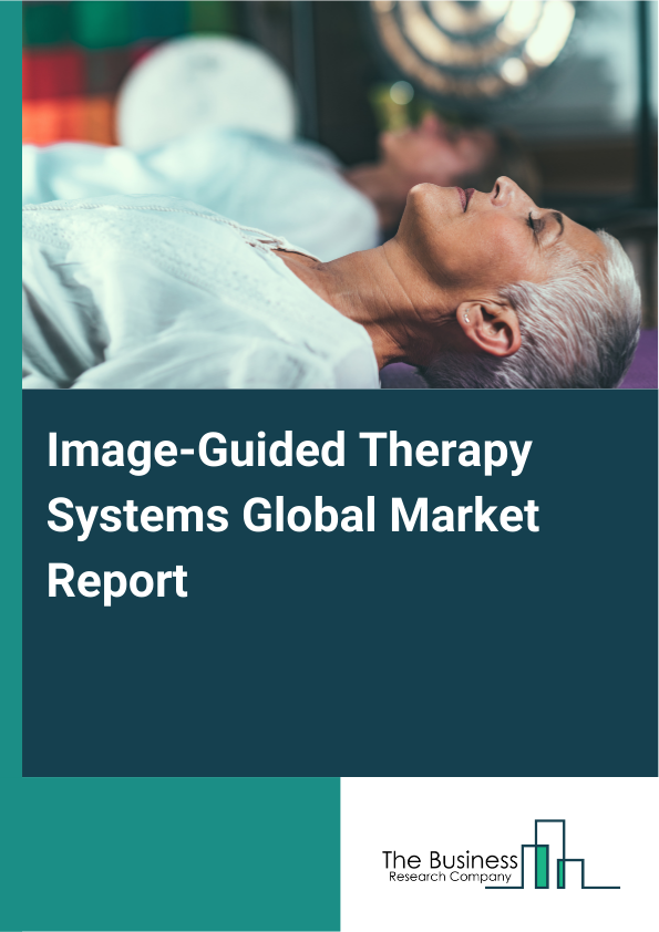 Global Image-Guided Therapy Systems Market Report 2025