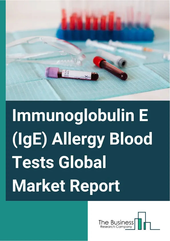 Immunoglobulin E (IgE) Allergy Blood Tests Global Market Report 2025 – By Product Type (Assays And Kits, Enzyme-Linked Immunosorbent Assay (ELISA) Testing Kits, Fluorescent Enzyme Immunoassays (FEIA) Testing Kits, Chemiluminescent Immunoassays (CLIA), Reagents, Consumables, Analyzers), By Application (Aero Allergies, Indoor Allergies, Outdoor Allergies, Food Allergies, Venoms, Medicine Allergies, Latex/Metal Allergies), By End User (Diagnostic Laboratories, Specialty Clinics, Hospitals, Research And Academic Centers) – Market Size, Trends, And Global Forecast 2025-2034
