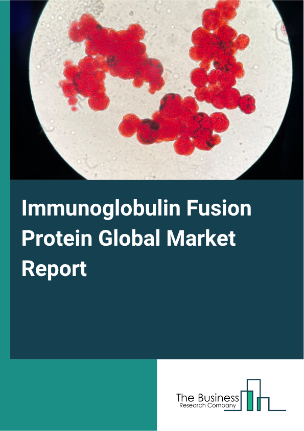 Global Immunoglobulin Fusion Protein Market Report 2025