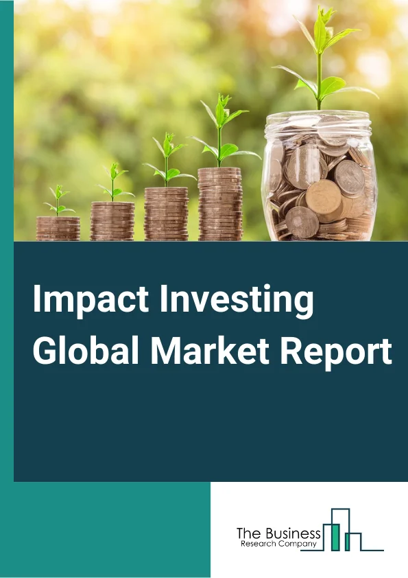 Impact Investing Global Market Report 2024 – By Illustrative Sector (Education, HealthCare, Housing, Agriculture, Environment, Clean Energy Access, Climate Change, Other Illustrative Sectors), By Enterprise Size (Large Enterprises, Medium and Small Enterprises) – Market Size, Trends, And Global Forecast 2024-2033