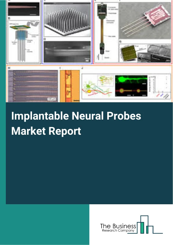 Implantable Neural Probes Market Report Infographic Image