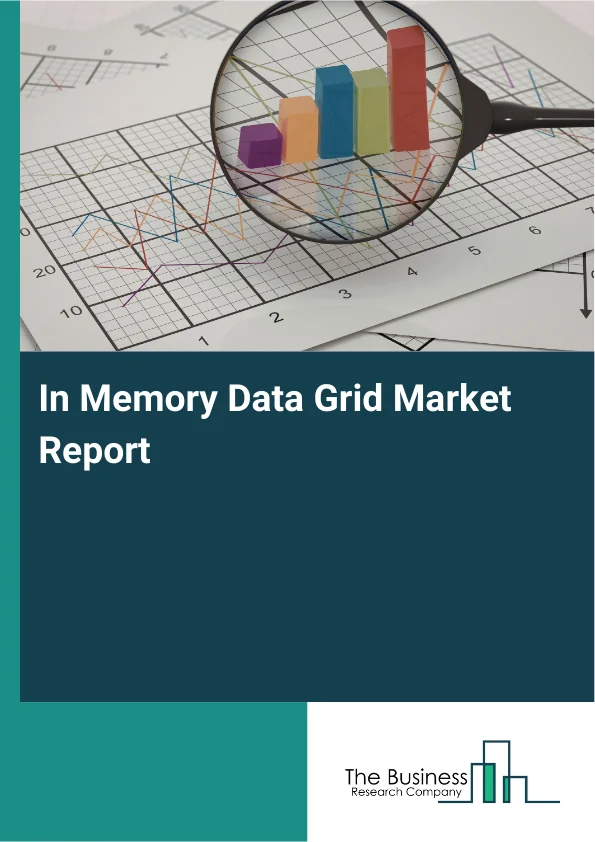 In Memory Data Grid Market Report Infographic Image