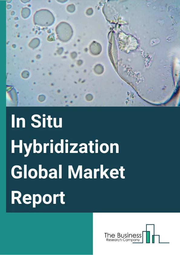 Global In Situ Hybridization Market Report 2024