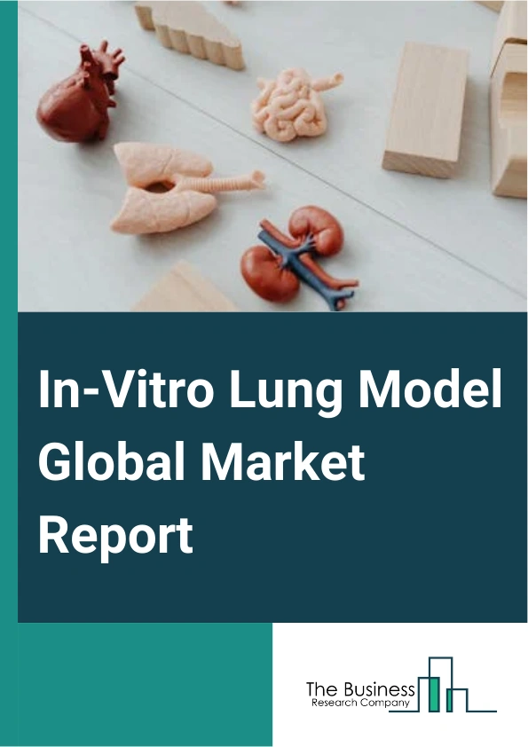 Global In-Vitro Lung Model Market Report 2025