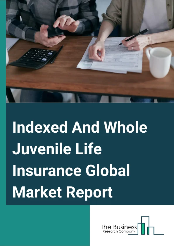 Indexed And Whole Juvenile Life Insurance Global Market Report 2025 – By Type (Survival Insurance, Death Insurance, Full Insurance), By Policy Type (Traditional, Non-Traditional), By Distribution Channel (Direct Distribution, Agency Distribution, Online Distribution), By Application (Below 10 Years Old, 10-18 Years Old) – Market Size, Trends, And Global Forecast 2025-2034