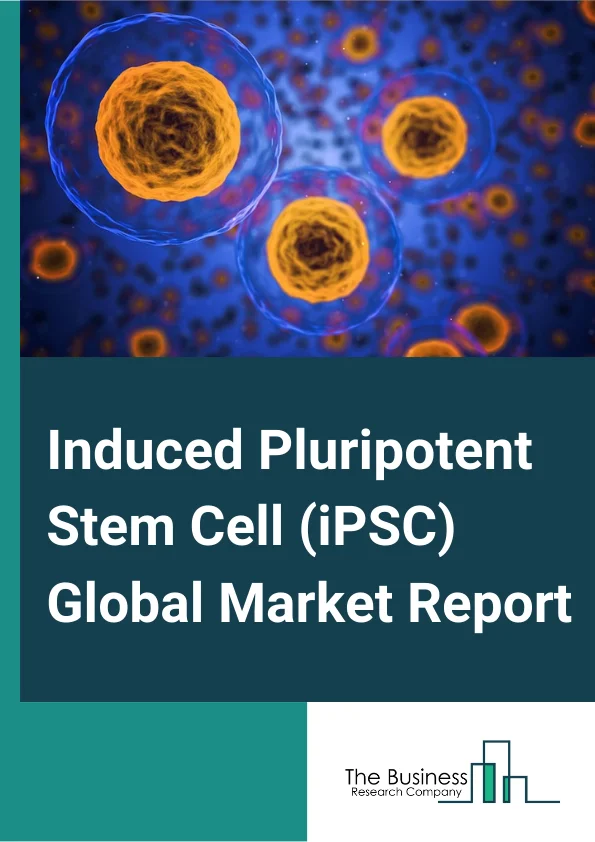 Induced Pluripotent Stem Cell (iPSC) Global Market Report 2025 – By Derived Cell Type (Hepatocytes, Fibroblasts, Keratinocytes, Amniotic Cells, Other Derived Cell Types), By Application (Academic Research, Drug Discovery And Toxicity Studies, Regenerative Medicine, Cell And Gene Therapy), By End-User (Hospitals, Research Laboratories) – Market Size, Trends, And Global Forecast 2025-2034
