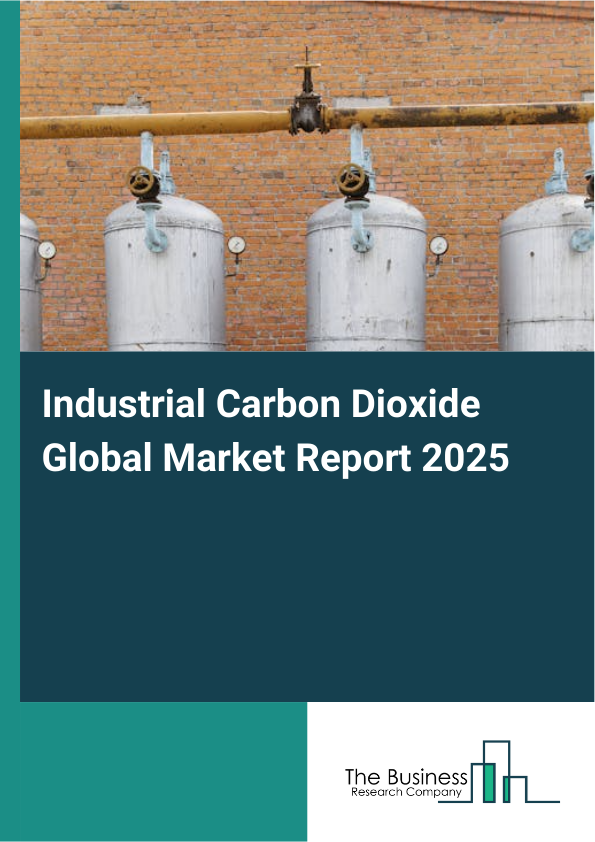 Global Industrial Carbon Dioxide Market Report 2025