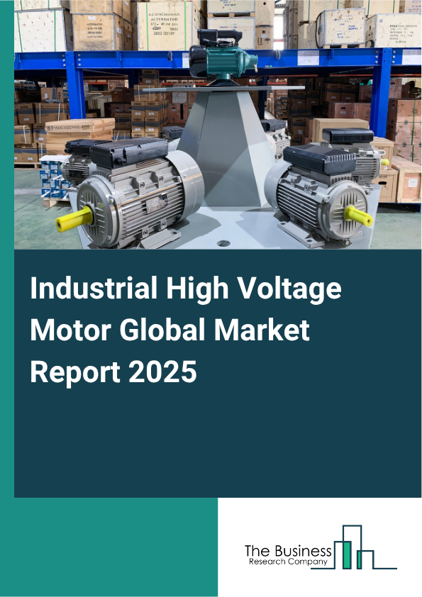 Global Industrial High Voltage Motor Market Report 2025 
