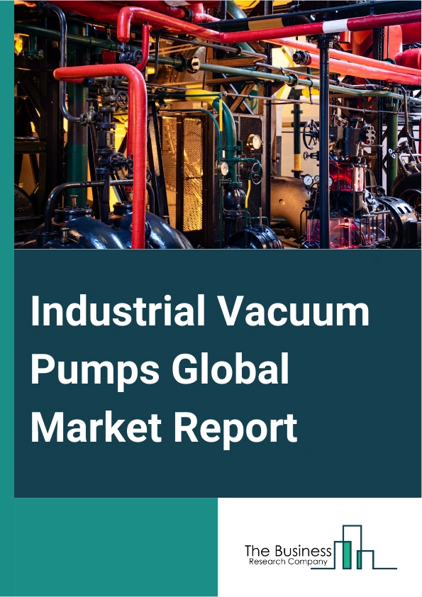 Global Industrial Vacuum Pumps Market Report 2025